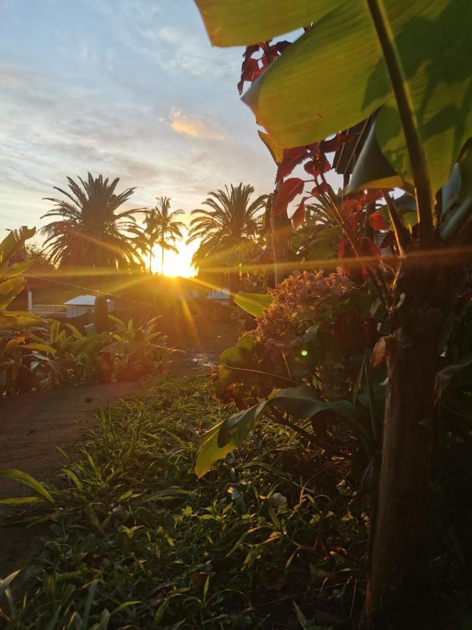 Hostal Tu'U Koihu Hanga Roa Exteriér fotografie