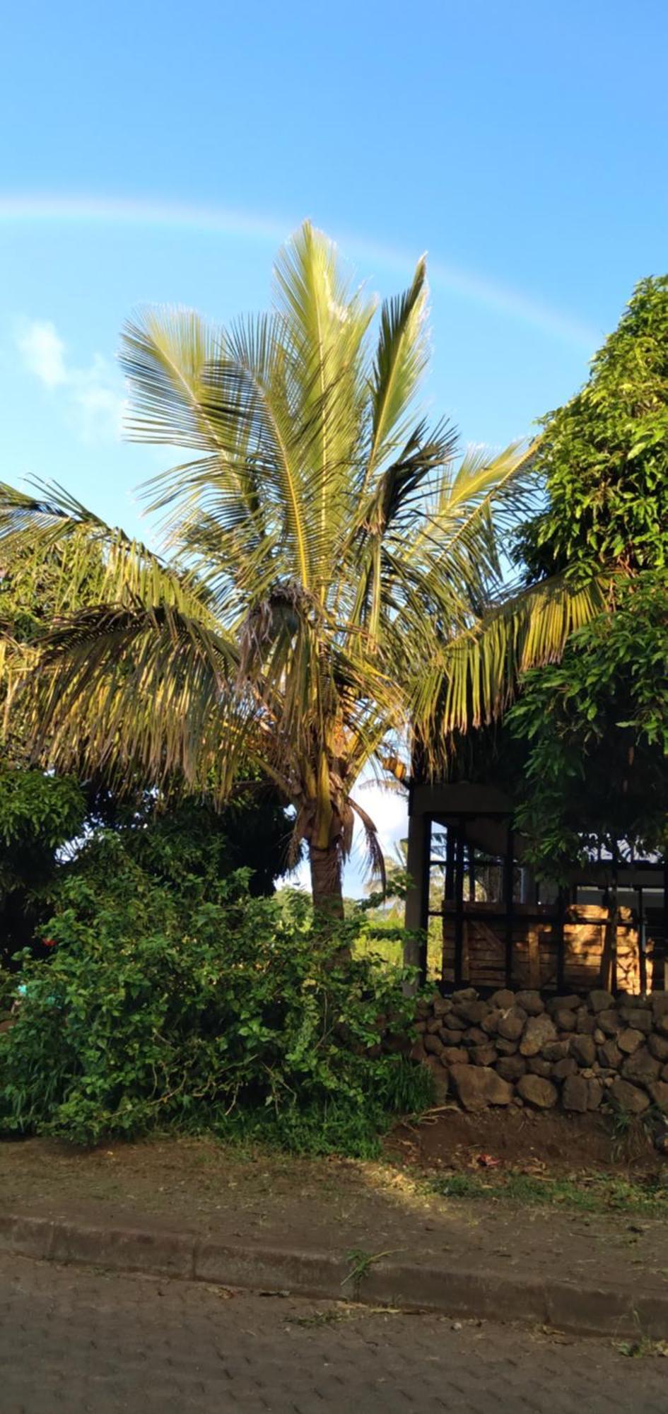 Hostal Tu'U Koihu Hanga Roa Exteriér fotografie