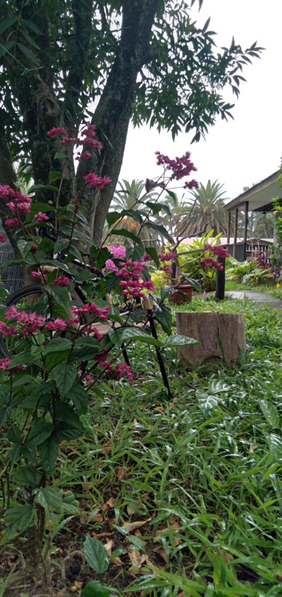 Hostal Tu'U Koihu Hanga Roa Exteriér fotografie