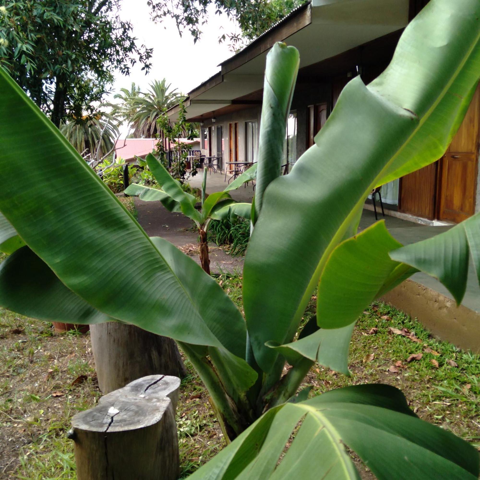 Hostal Tu'U Koihu Hanga Roa Exteriér fotografie